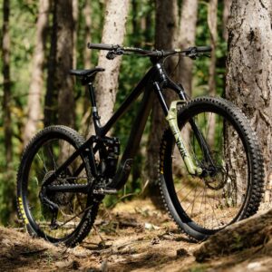 Vélo tout-terrain en forêt, positionné contre un arbre.