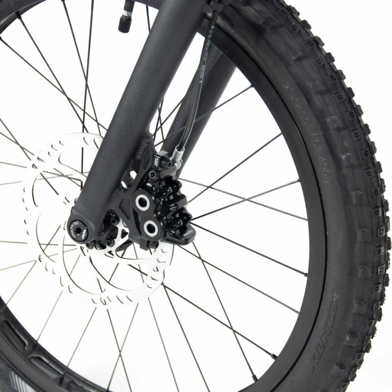 Crewkerz Desire Kid 2024 – Image 6