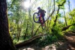 crewkerz destiny vtt gravity 29" 2026